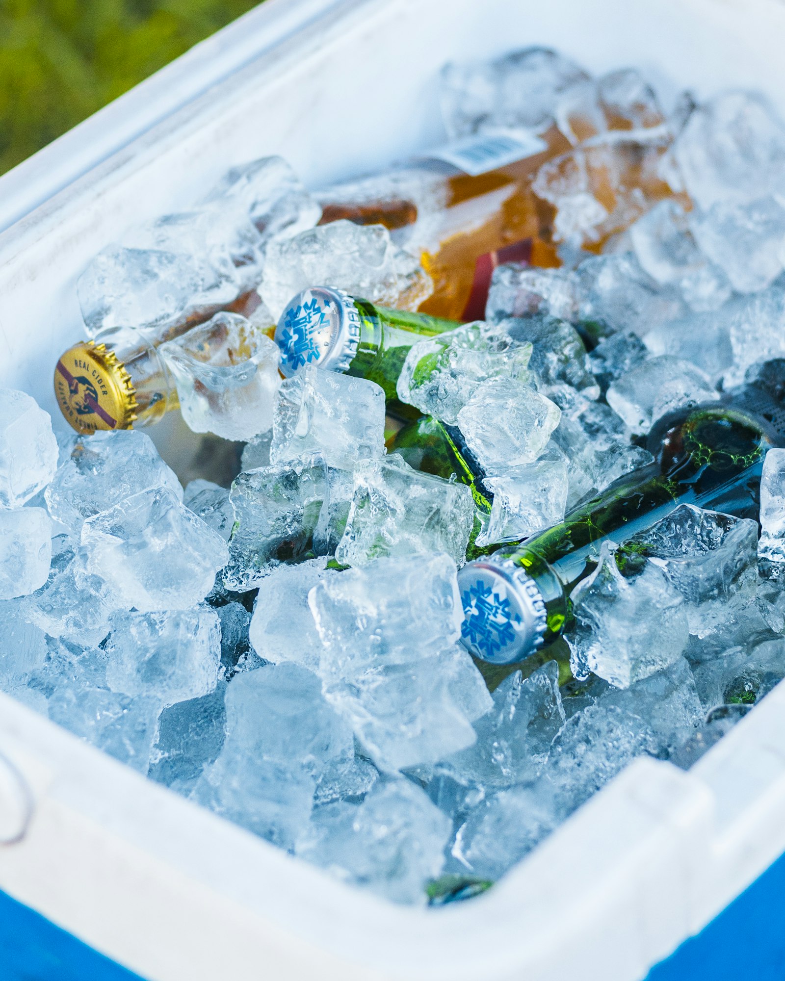 Insulated Can Coolers and Sleeves from ASEAN: Manufacturing and Export Guide (2026)